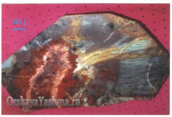 Рис. 29 Портретная яшма «Огненный профиль»