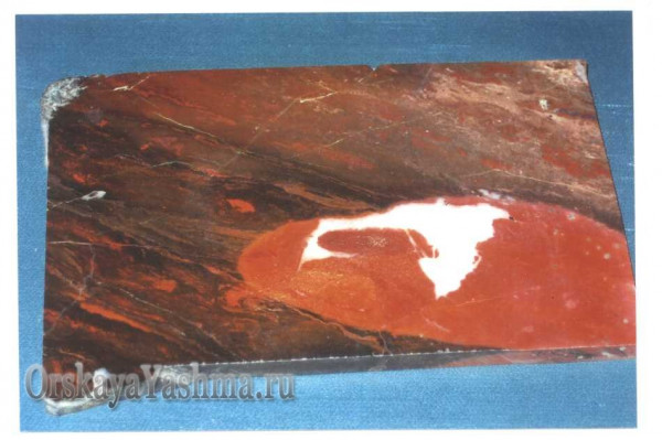 Рис. 30 Портретная яшма. «Голова удава»; 1:1