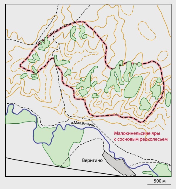 Малокинельские яры с сосновым редколесьем