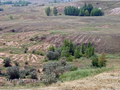 Геологический разрез Новокиевского железорудного месторождения (в  отработанном карьере)