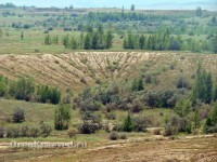 Геологический разрез Новокиевского железорудного месторождения (в  отработанном карьере)
