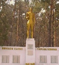 Памятник Воин-освободитель с. Хуторка