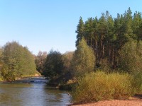 Река Боровка
