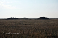 Степные урочища с курганами 